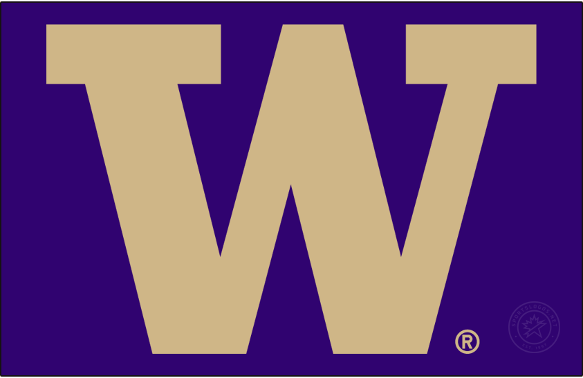 Washington Huskies 2016-Pres Alt on Dark Logo diy iron on heat transfer